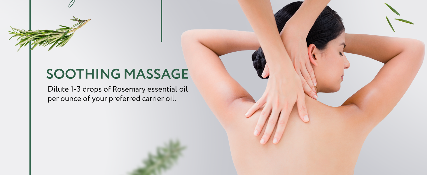Rosemary Essential Oil Organic Rosemary Essential Oil Organic