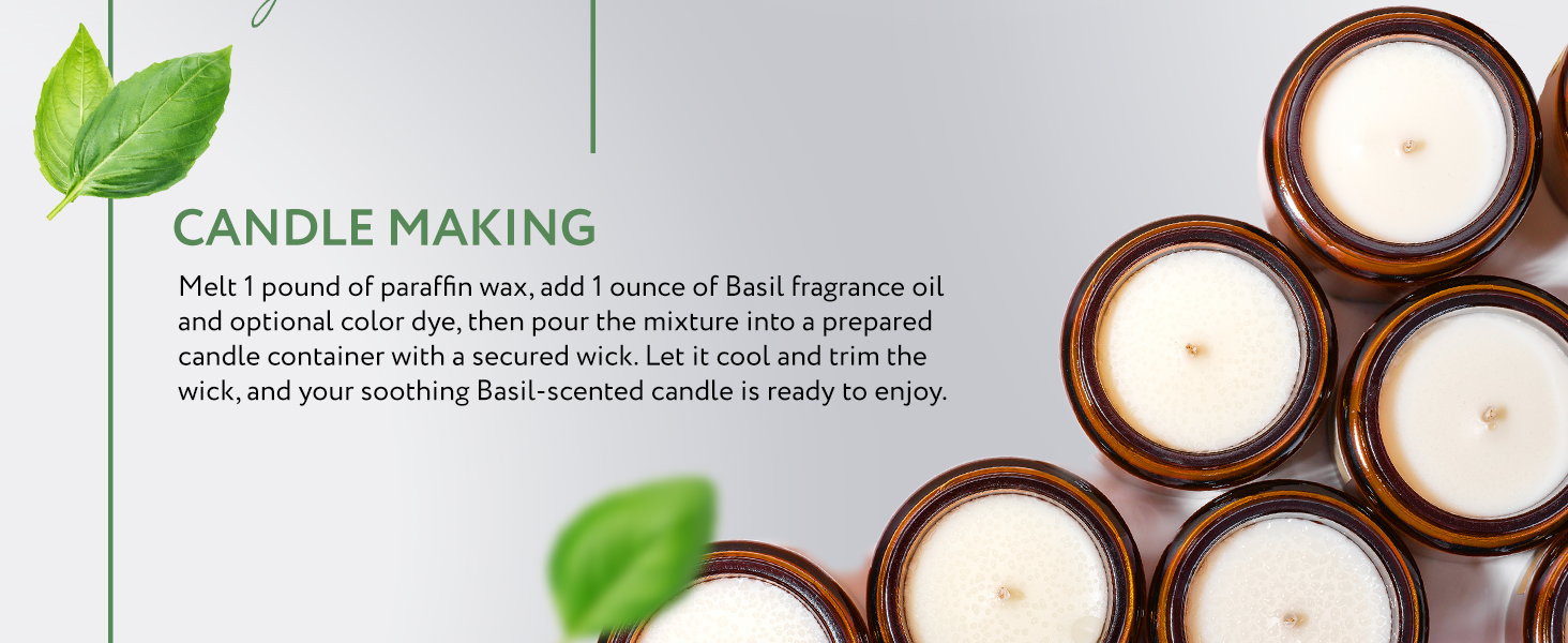 Basil Natural Fragrance Basil Natural Fragrance