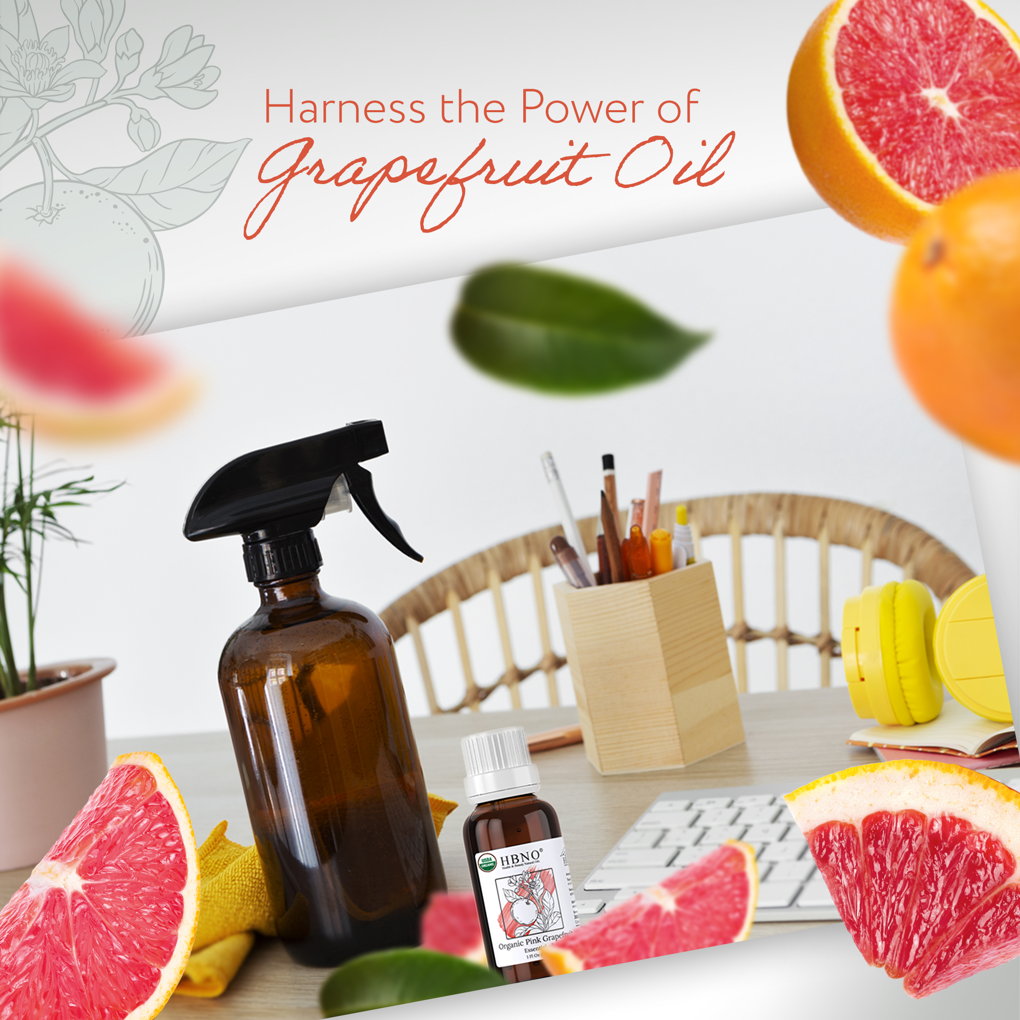 Grapefruit Pink Essential Oil Organic Grapefruit Pink Essential Oil Organic