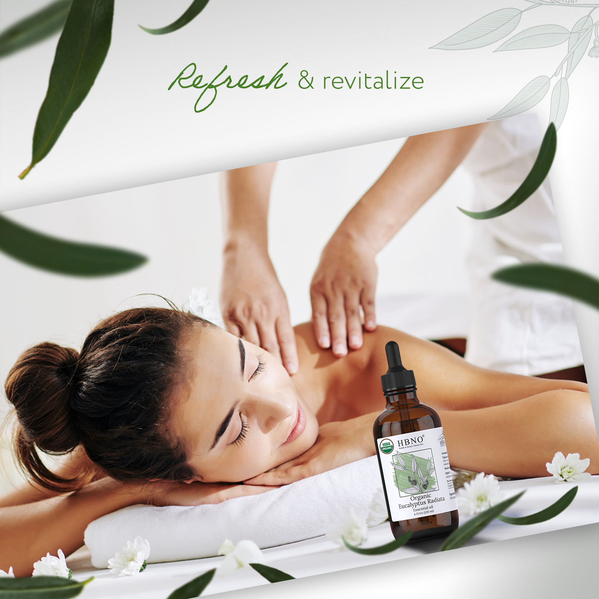 Eucalyptus Radiata Essential Oil Organic Eucalyptus Radiata Essential Oil Organic