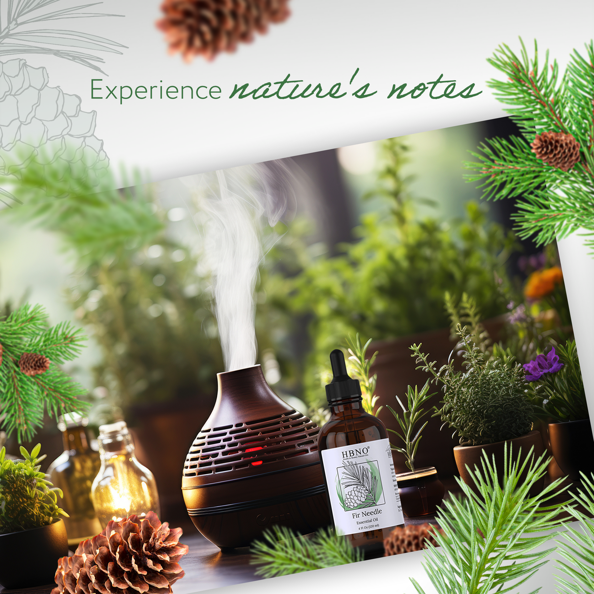Balsam Fir Needle Essential Oil Organic Balsam Fir Leaf Essential Oil Organic