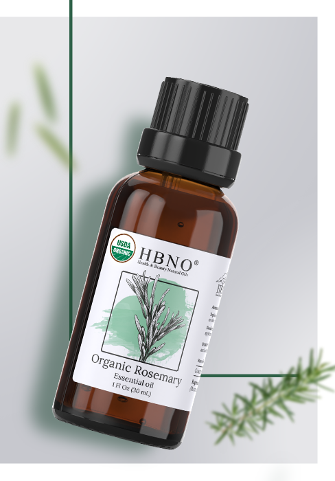 Rosemary Essential Oil Organic Rosemary Essential Oil Organic