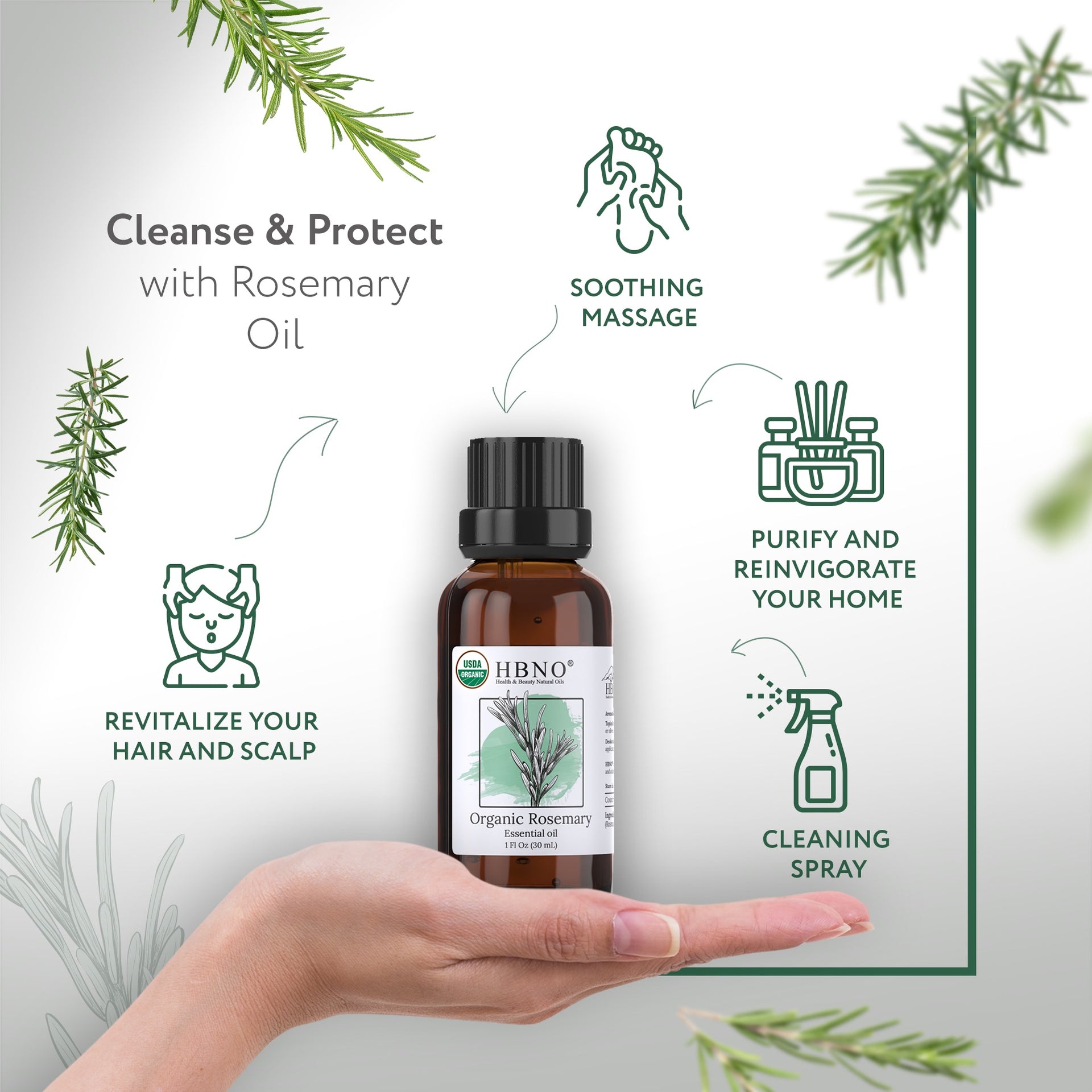 Rosemary Essential Oil Organic Rosemary Essential Oil Organic