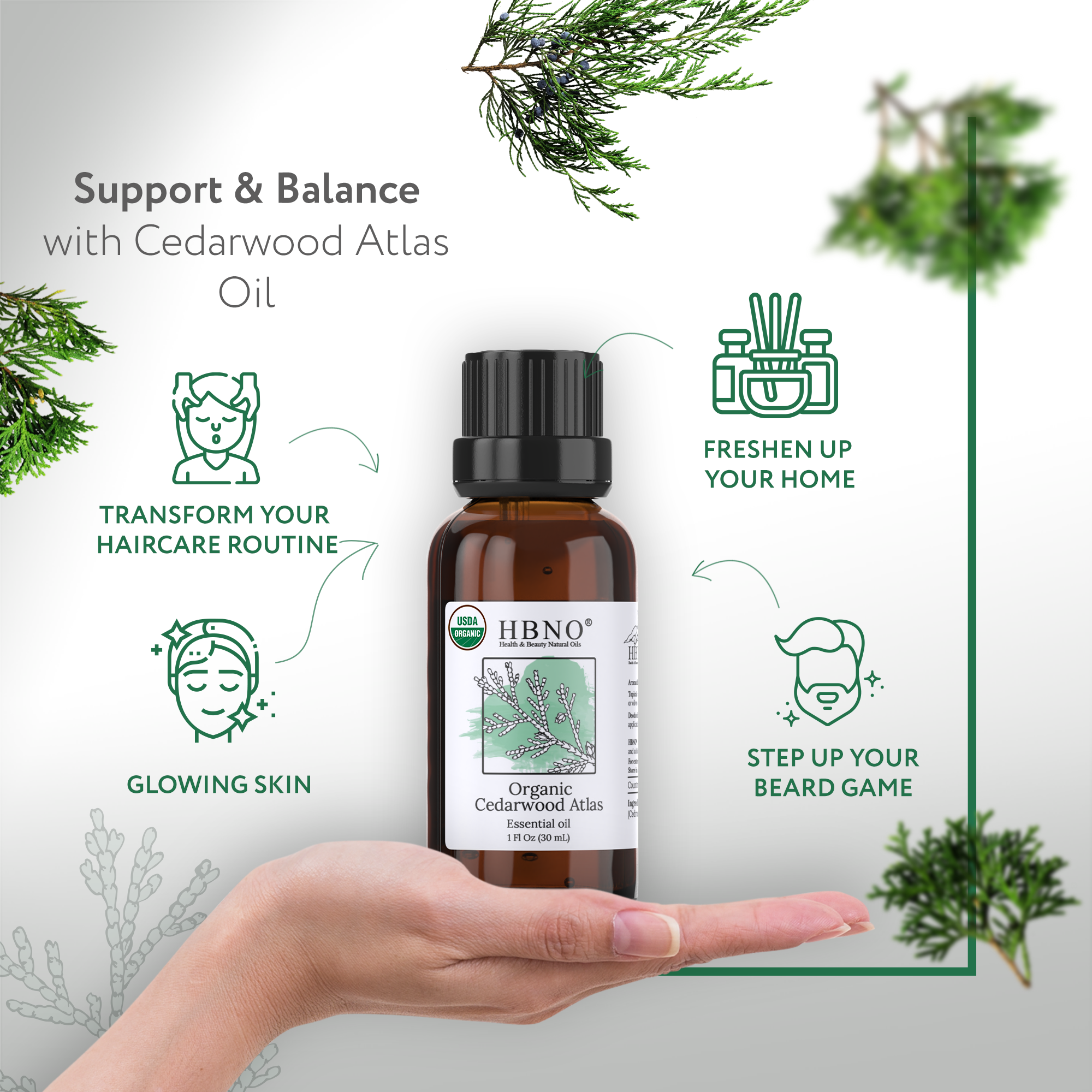 Cedarwood Atlas Essential Oil Organic Cedarwood Atlas Essential Oil Organic