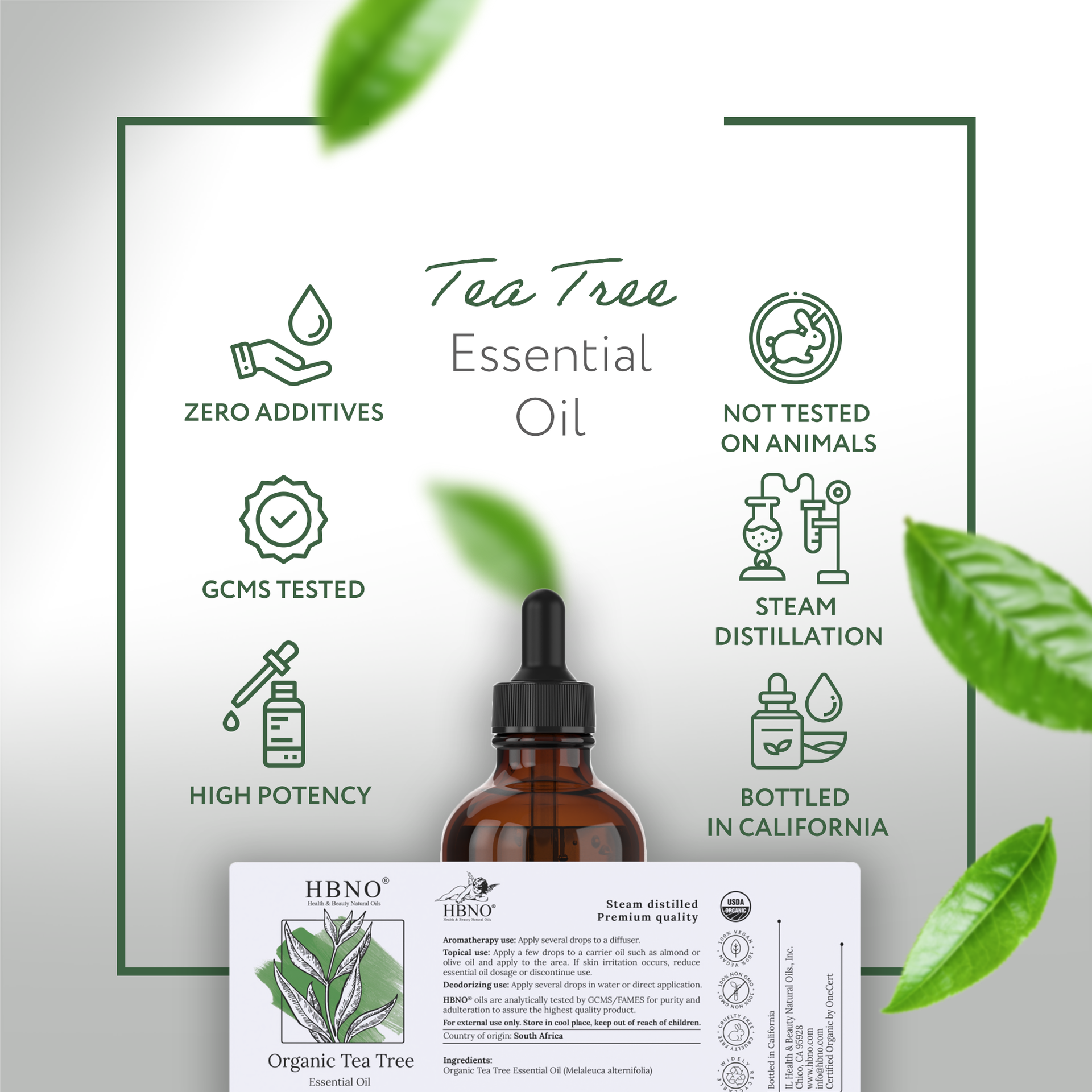 Tea Tree Essential Oil Organic Tea Tree Essential Oil Organic