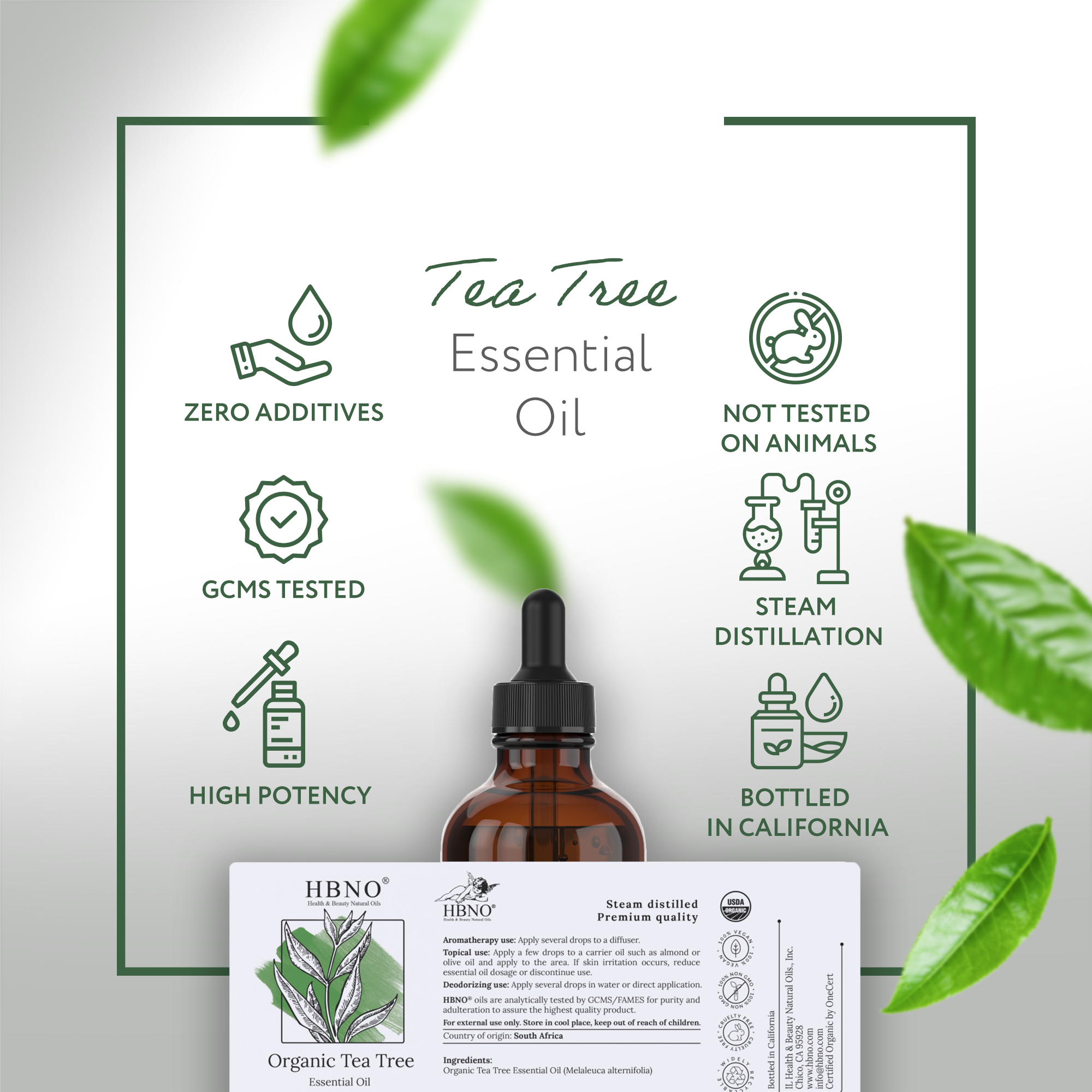 Tea Tree Essential Oil Organic Tea Tree Essential Oil Organic