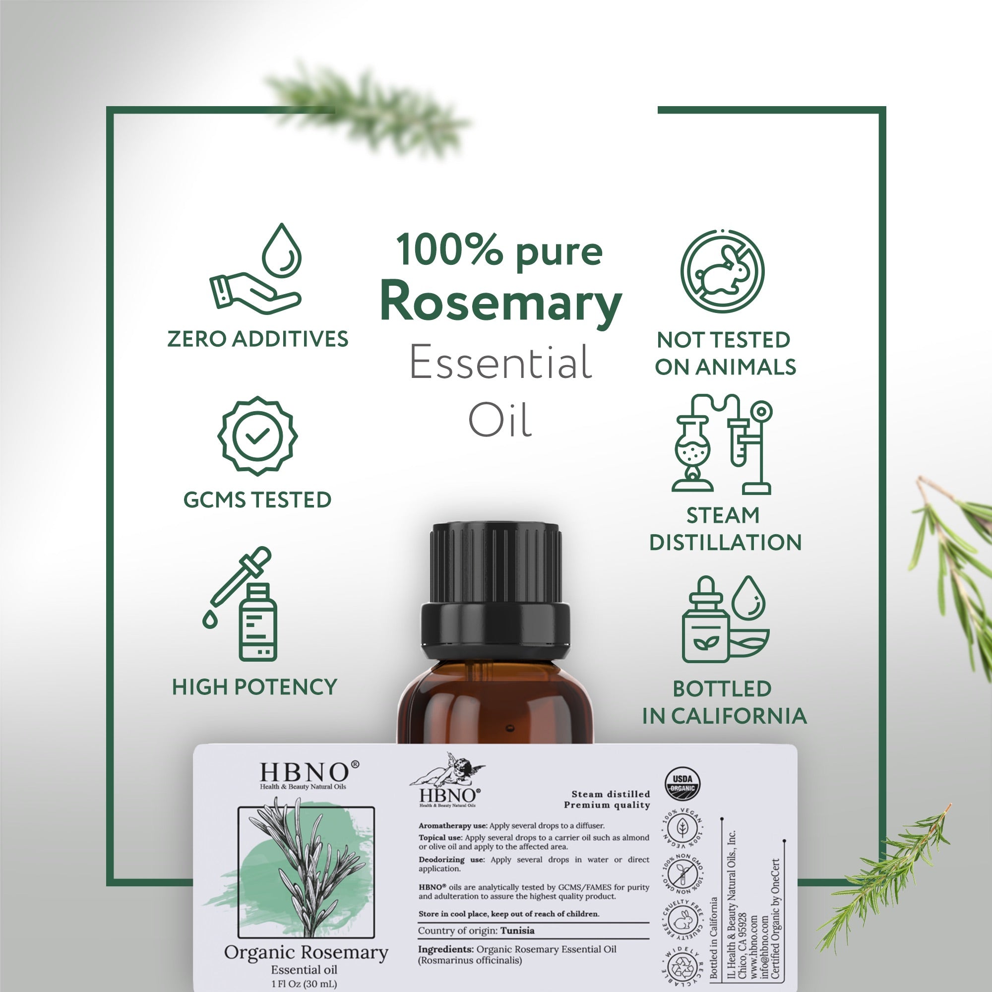 Rosemary Essential Oil Organic Rosemary Essential Oil Organic