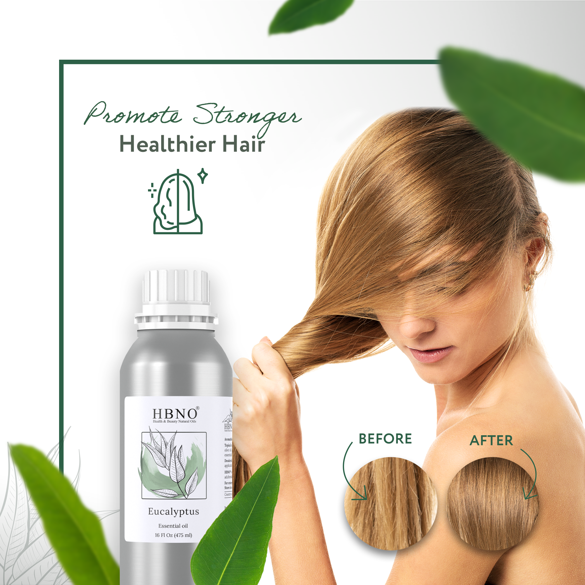 Eucalyptus Globulus Essential Oil Eucalyptus Globulus Essential Oil