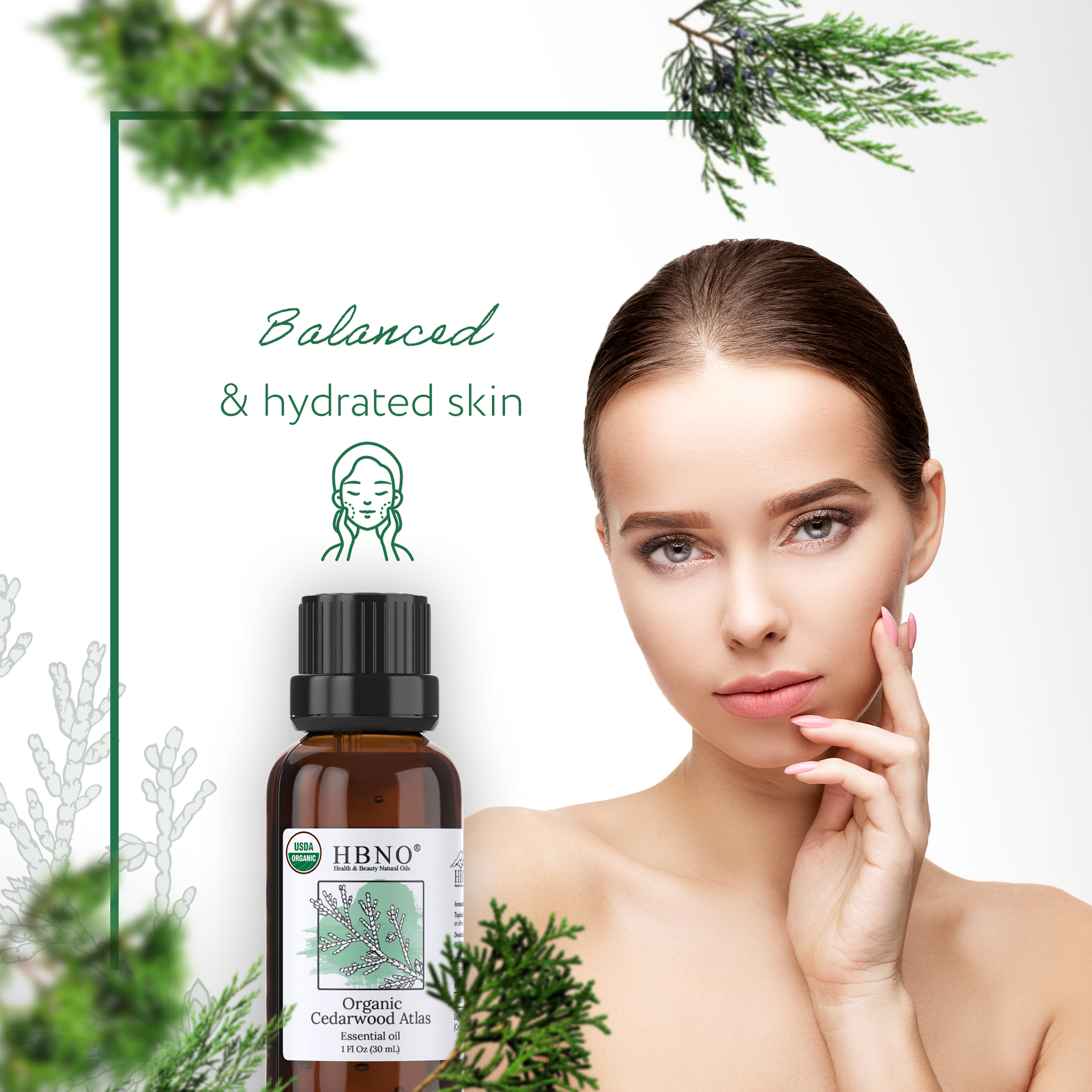 Cedarwood Atlas Essential Oil Organic Cedarwood Atlas Essential Oil Organic