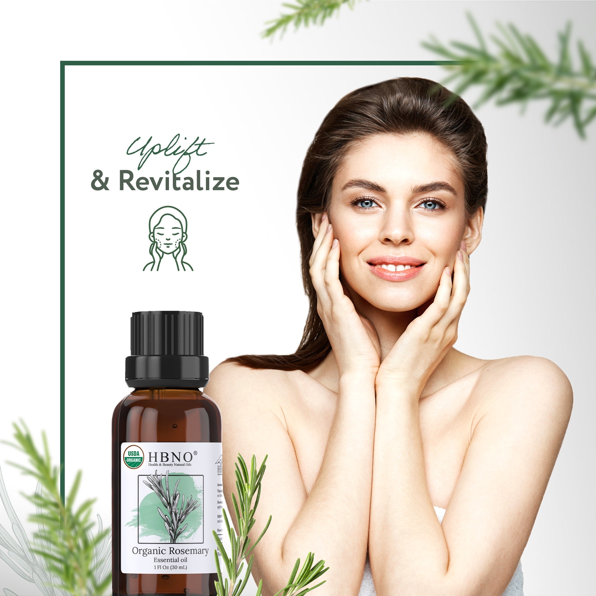 Rosemary Essential Oil Organic Rosemary Essential Oil Organic