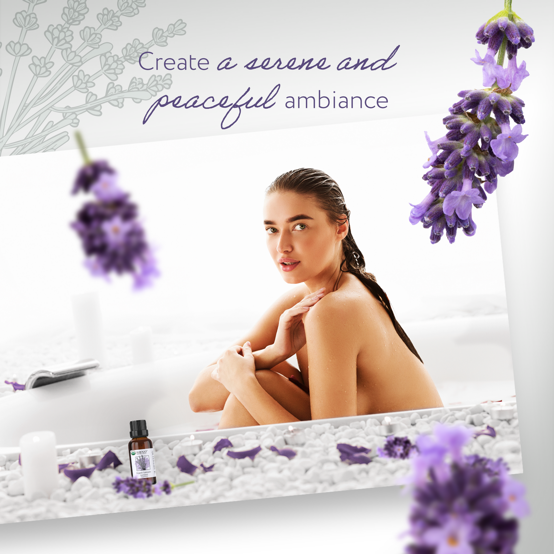 Lavender Essential Oil Organic Lavender Essential Oil Organic