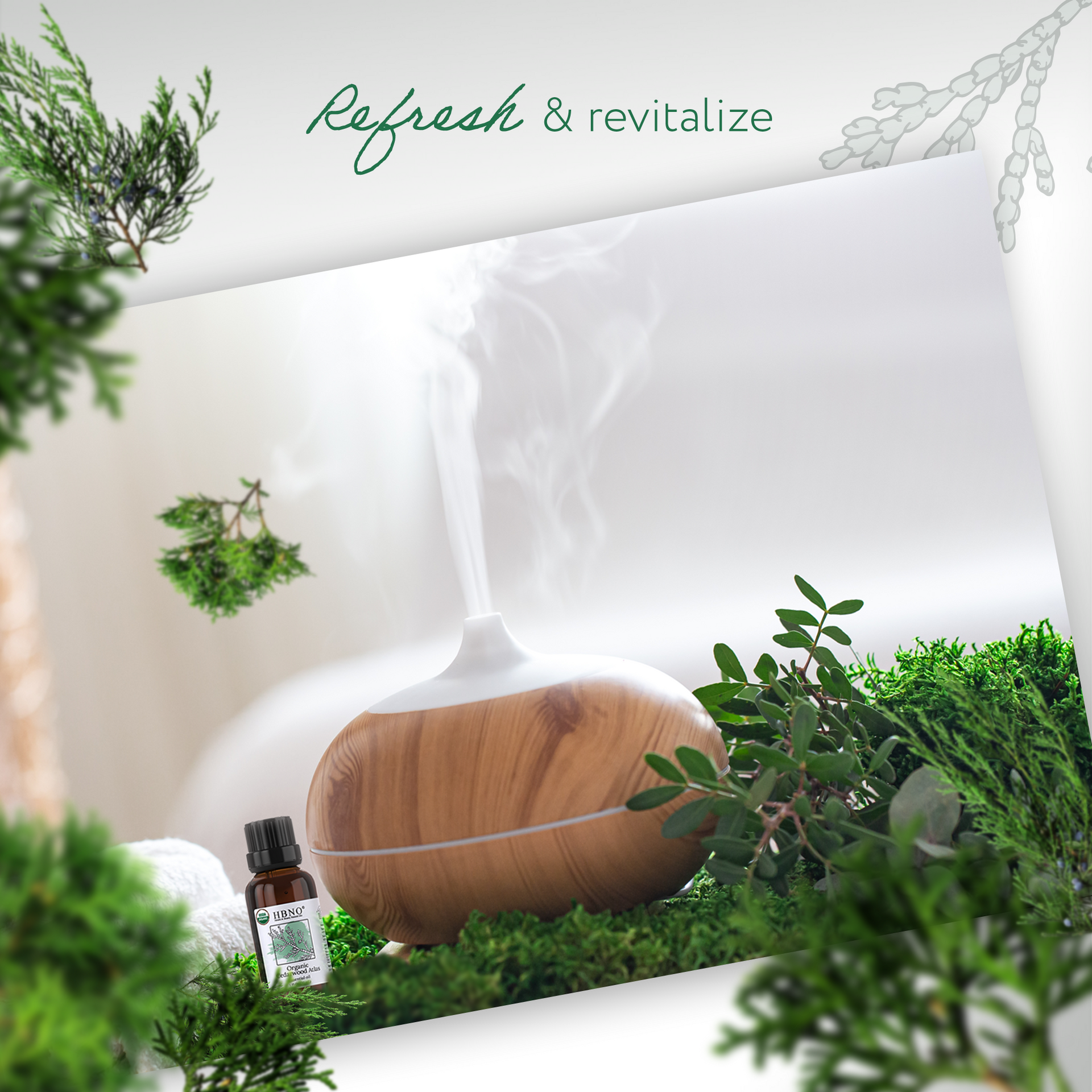 Cedarwood Atlas Essential Oil Organic Cedarwood Atlas Essential Oil Organic
