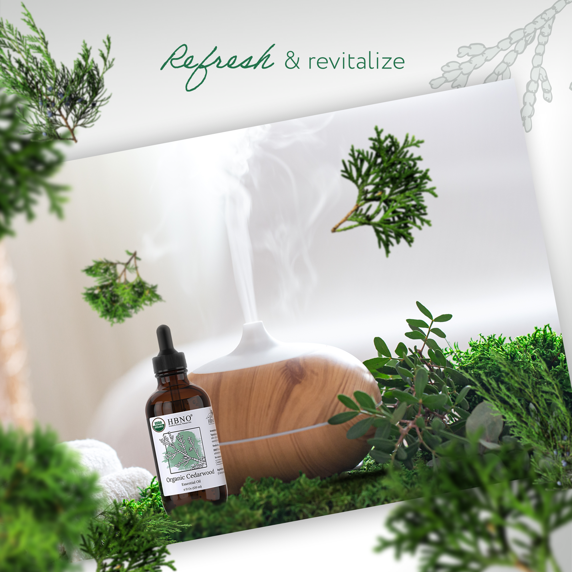 Cedarwood Atlas Essential Oil Organic Cedarwood Atlas Essential Oil Organic