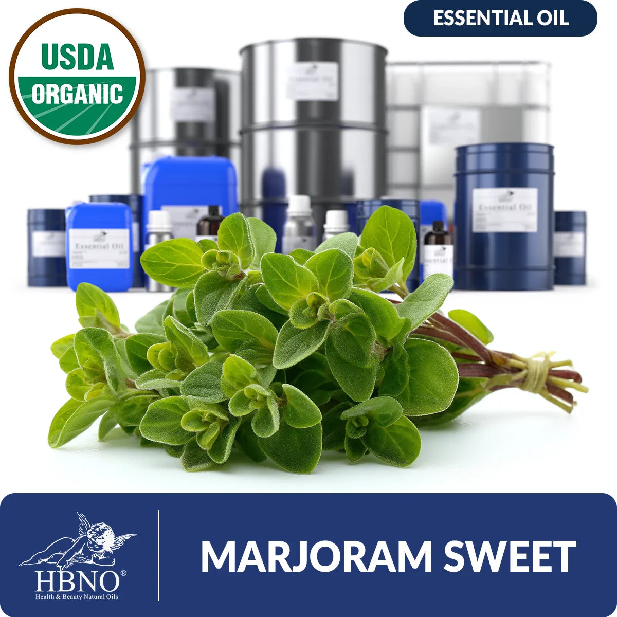 Organic Marjoram Sweet Essential Oil