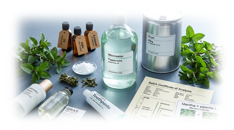 Not All Peppermint Oil Is Equal: A Bulk Buyer's Sourcing Guide