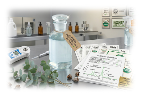 Eucalyptus Oil Wholesale Supplier for Natural Household Insect Deterrent and Cleaning Product Manufacturers