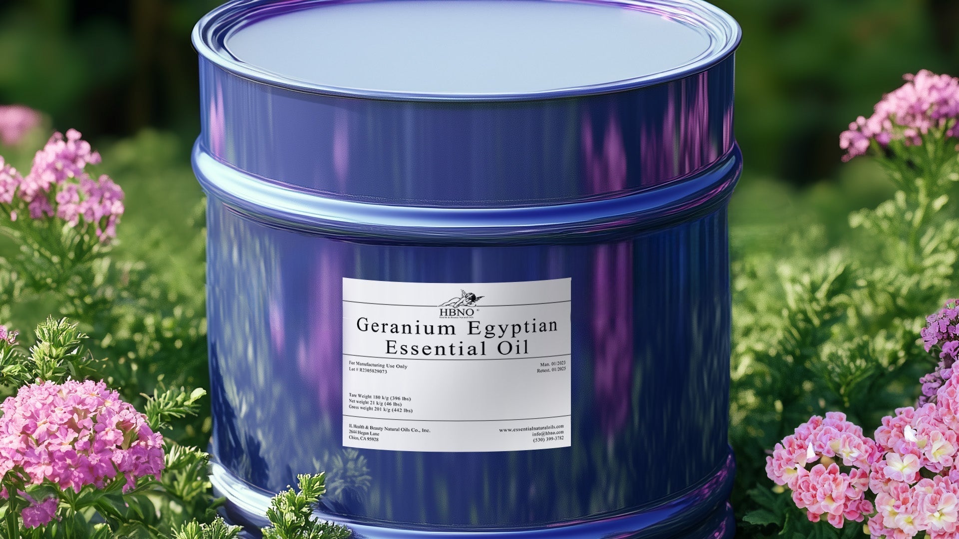 Geranium Egyptian Essential Oil: Skin and Wellness Benefits – HBNO