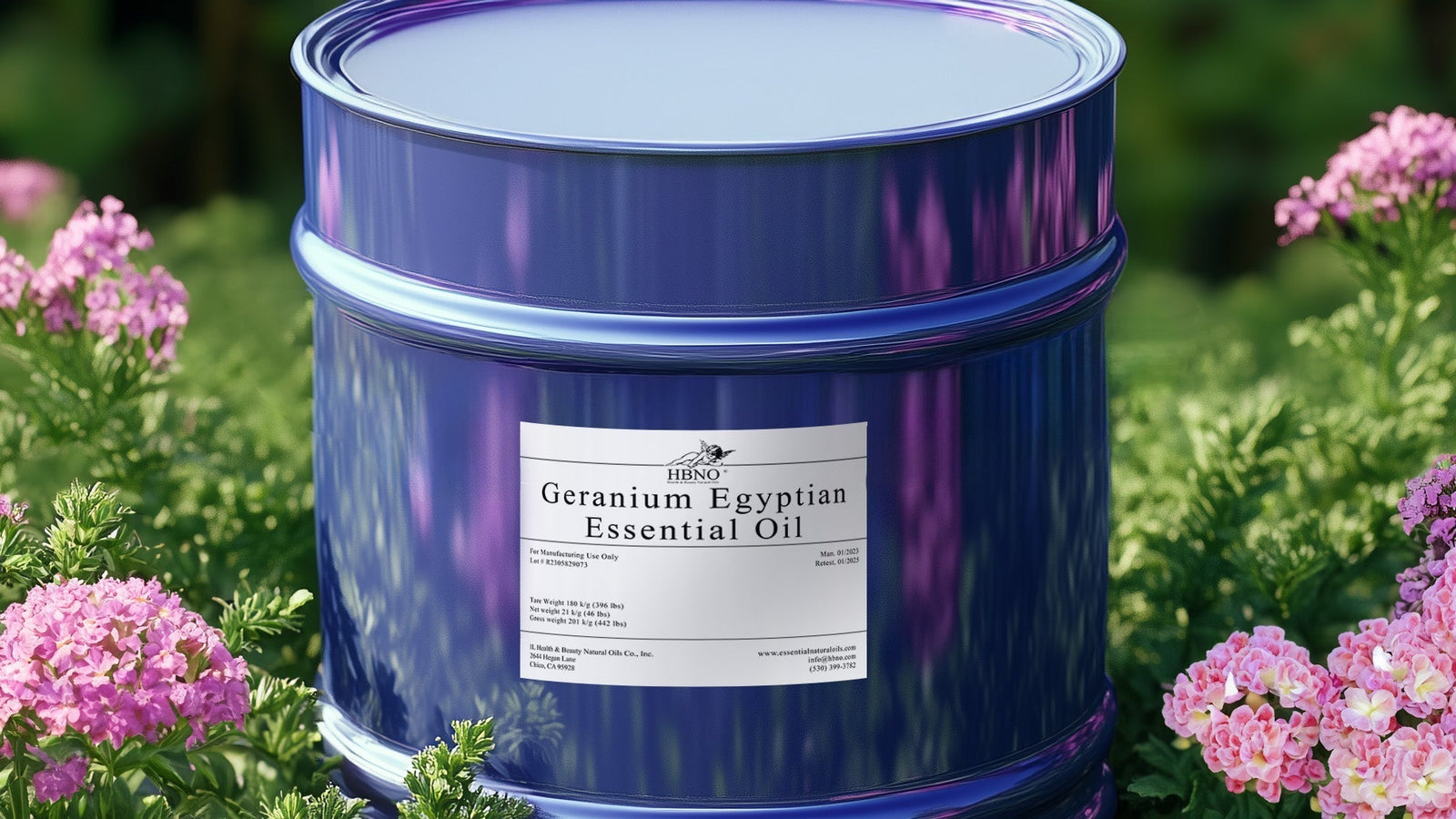Geranium Egyptian Essential Oil: Floral Fragrance with Therapeutic Benefits