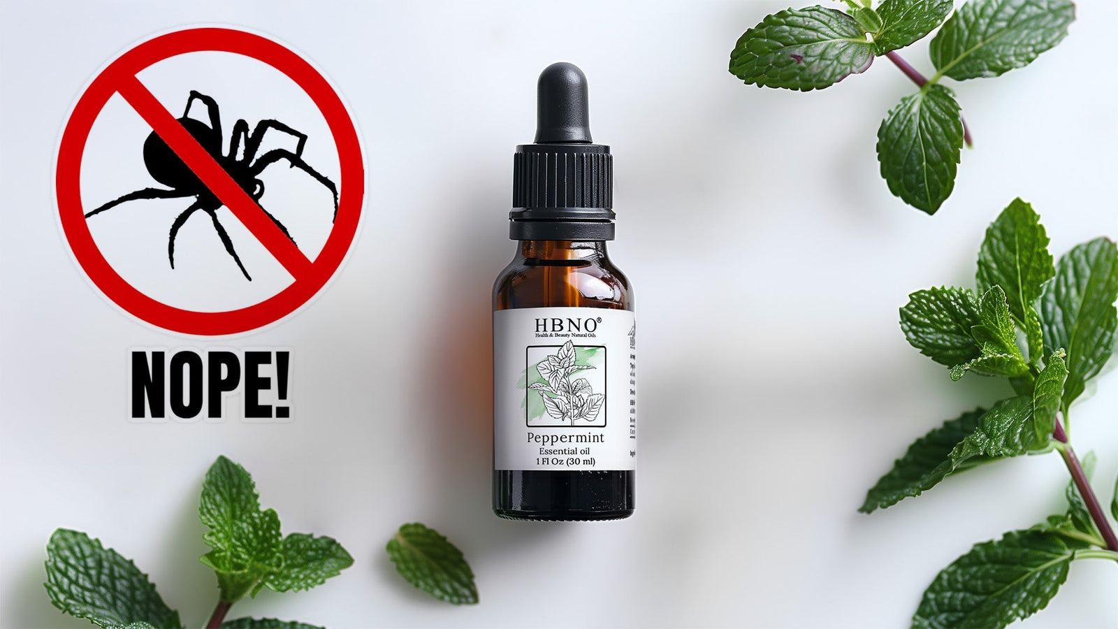 Peppermint Oil for Spiders: How to Keep Them Away Naturally