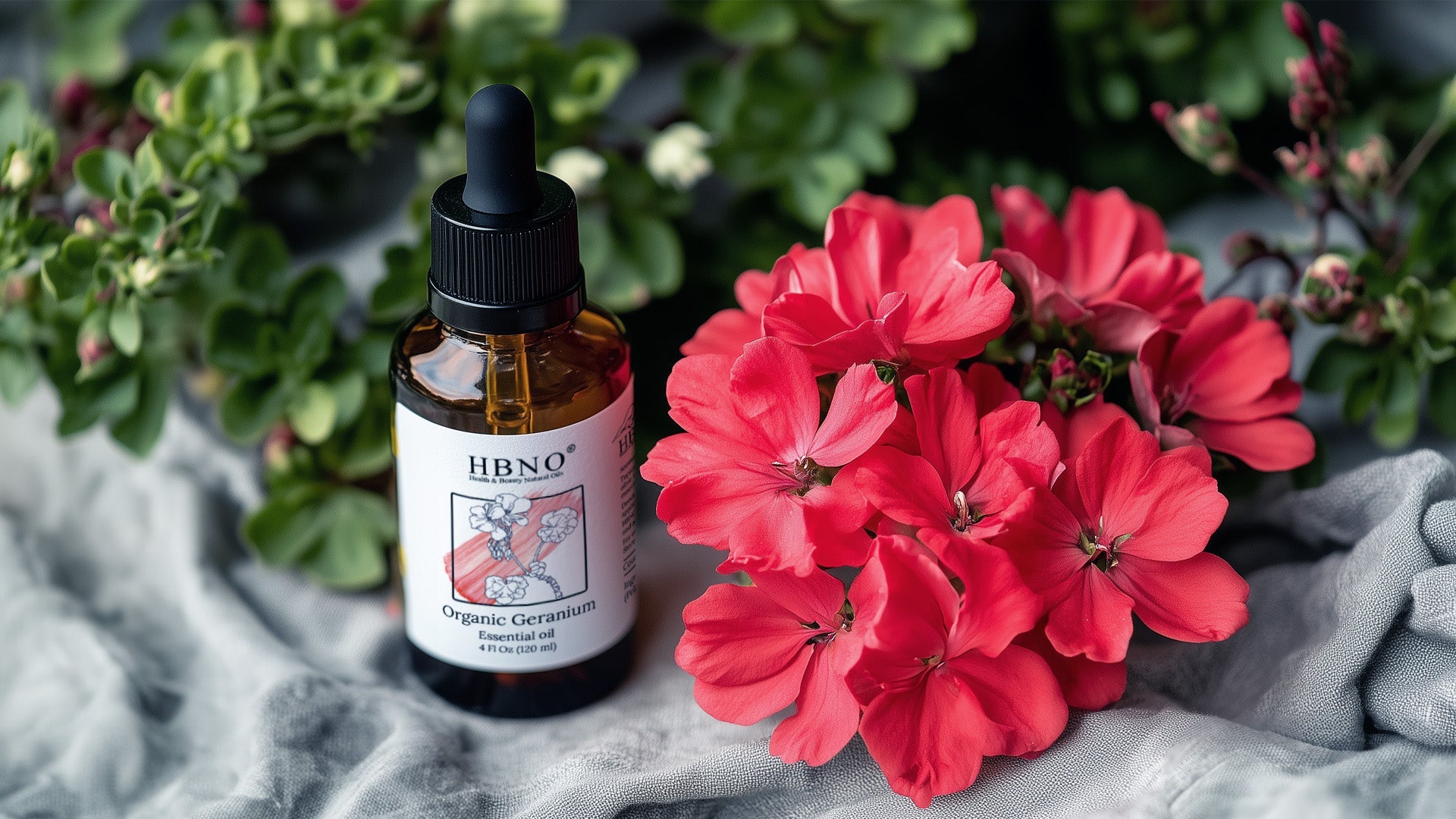 Geranium Essential Oil Benefits for Skin, Hair, and Aromatherapy