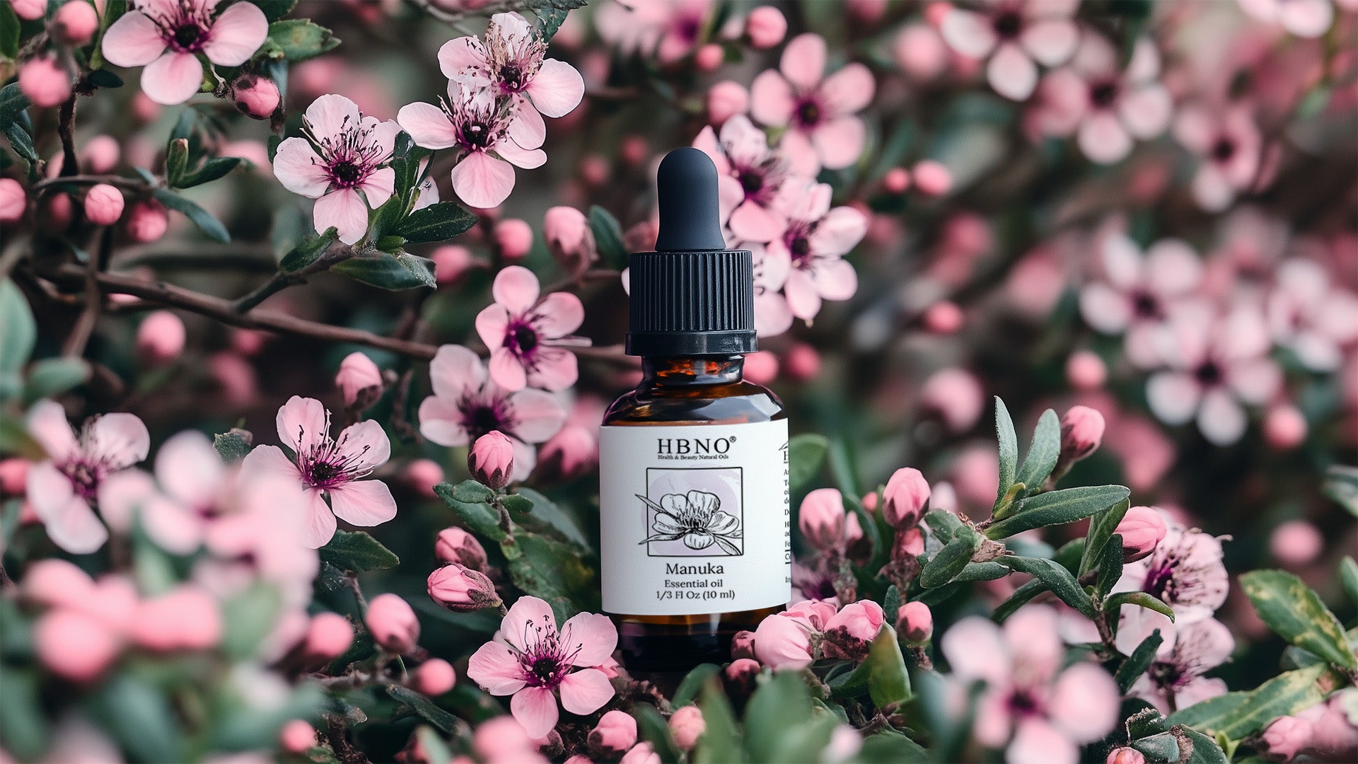 Manuka Essential Oil Benefits for Skin and Wellness