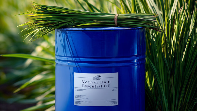 Vetiver Haiti Essential Oil: Key Uses and Applications