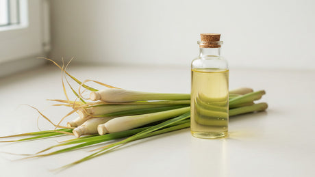 Lemongrass Essential Oil: Bulk Sourcing for Flavor & Fragrance
