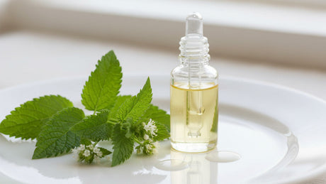 Melissa (Lemon Balm) Essential Oil: Sourcing & Formulation Guide