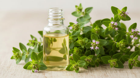 Oregano Essential Oil for Oral Care Formulations: Sourcing & Quality
