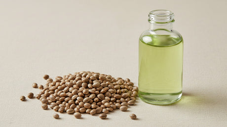Organic Hemp Seed Oil for Cosmetic Formulations: Sourcing & Specs