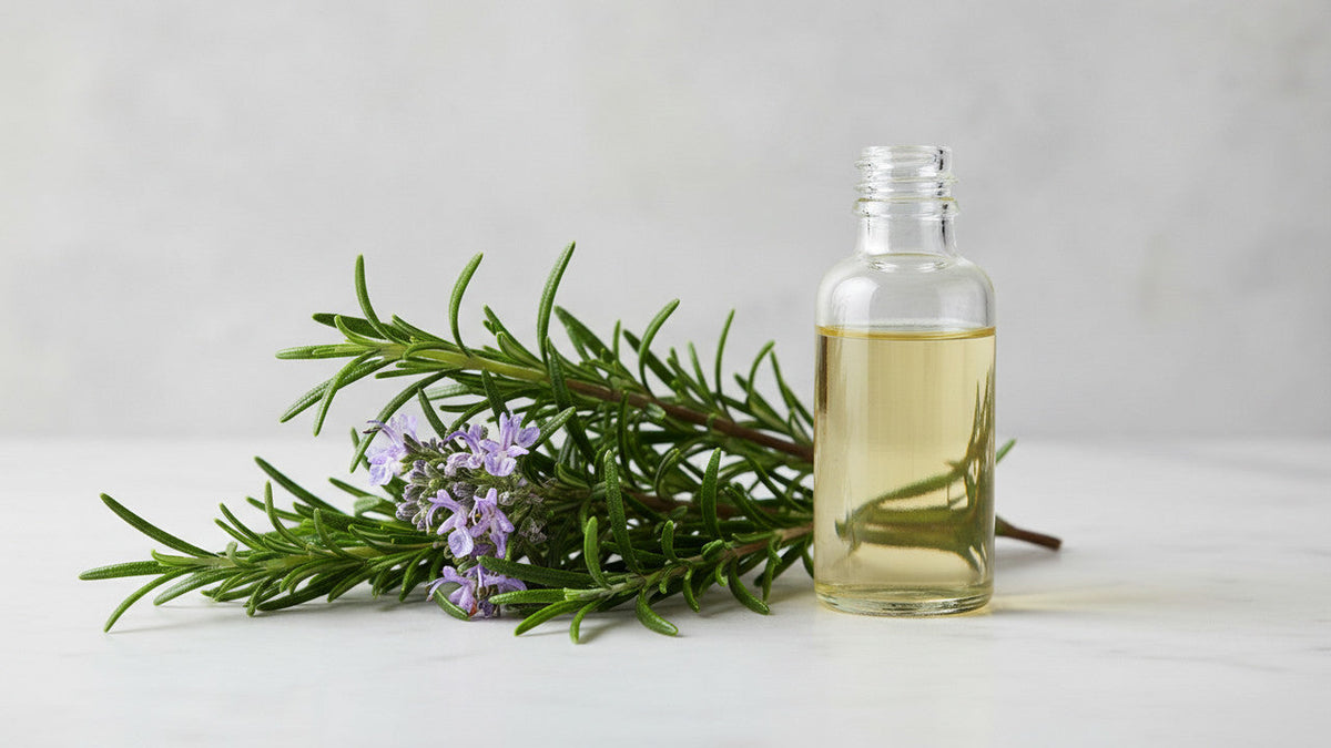 Rosemary Oil for Skincare Formulations: Sourcing & Application Guide