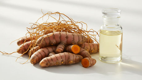 Turmeric Essential Oil for Skincare & Flavor Formulations: Sourcing Guide