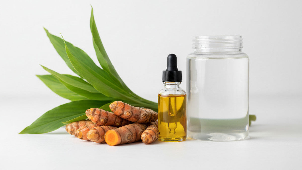 Turmeric Essential Oil & Fractionated Coconut Oil for Oral Care Formulations