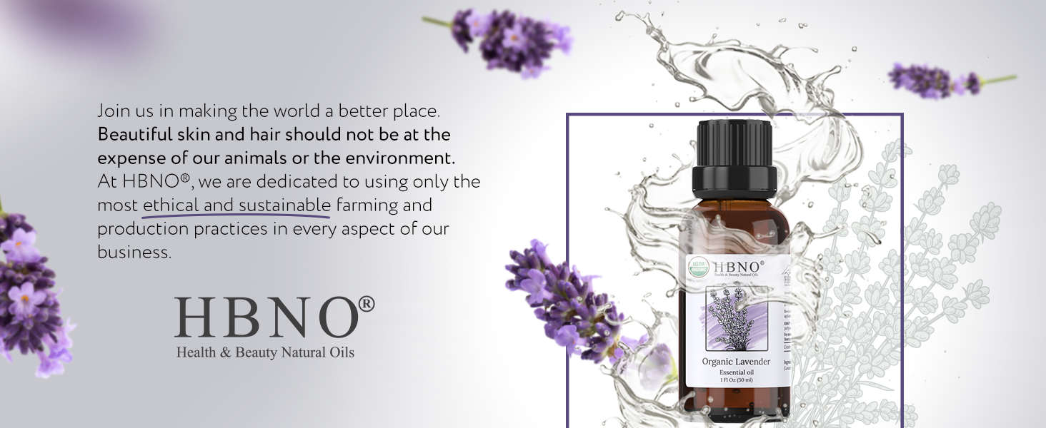 Lavender Essential Oil Organic