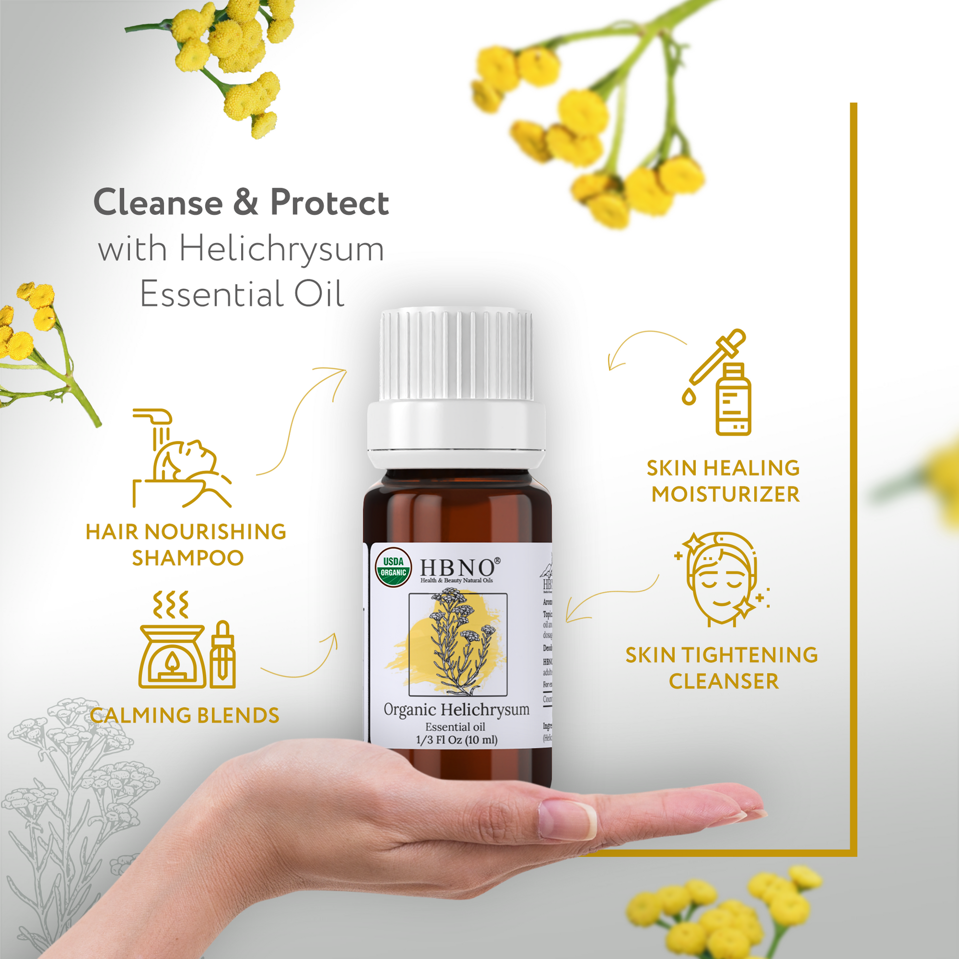 Helichrysum Italicum Essential Oil Organic