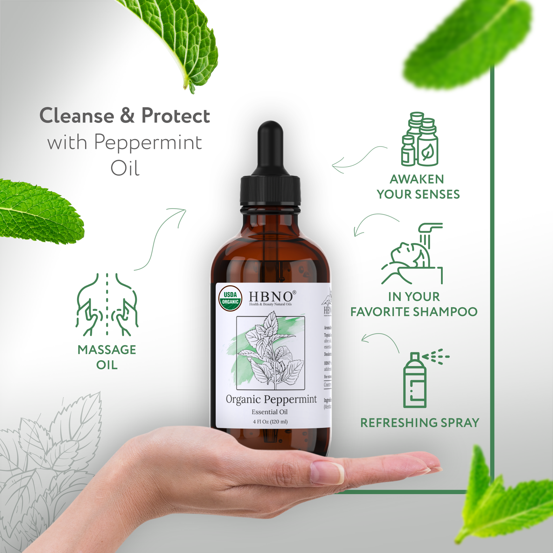 HBNO Organic Peppermint Essential Oil (Mentha Piperita)