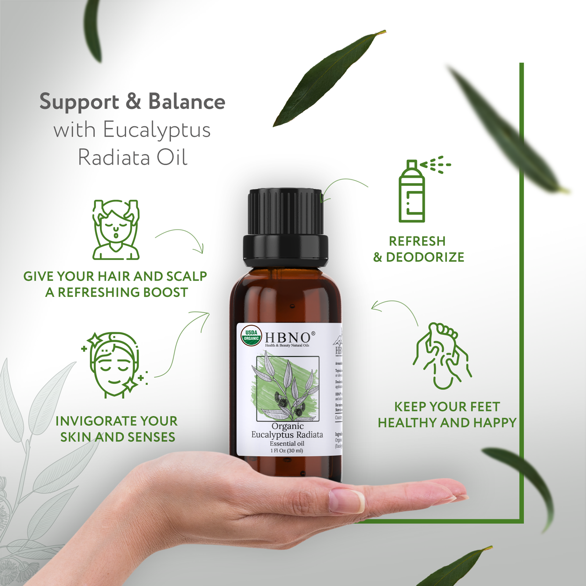 Eucalyptus Radiata Essential Oil Organic