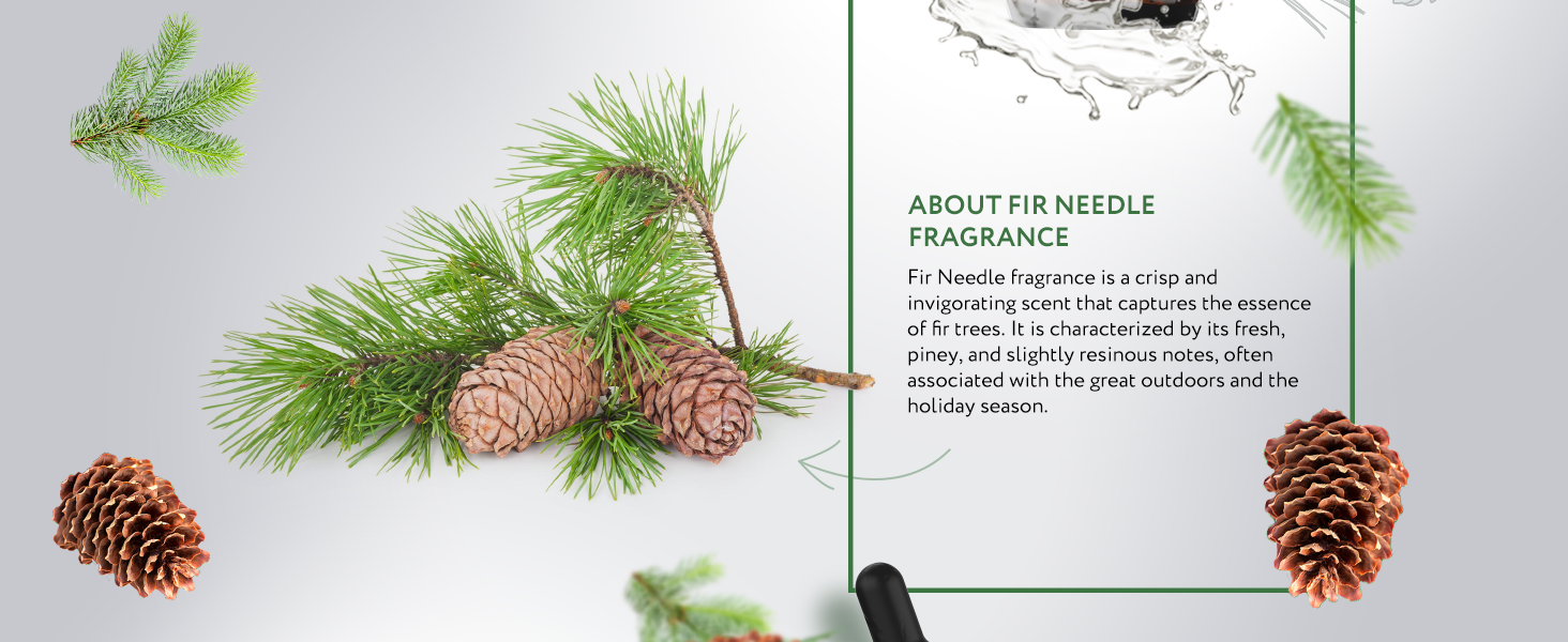 Fir Needle Fragrance