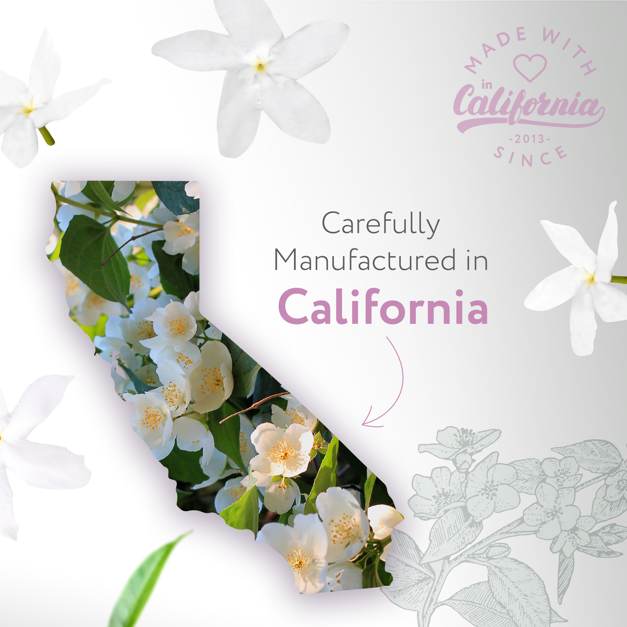 Jasmine Fragrance