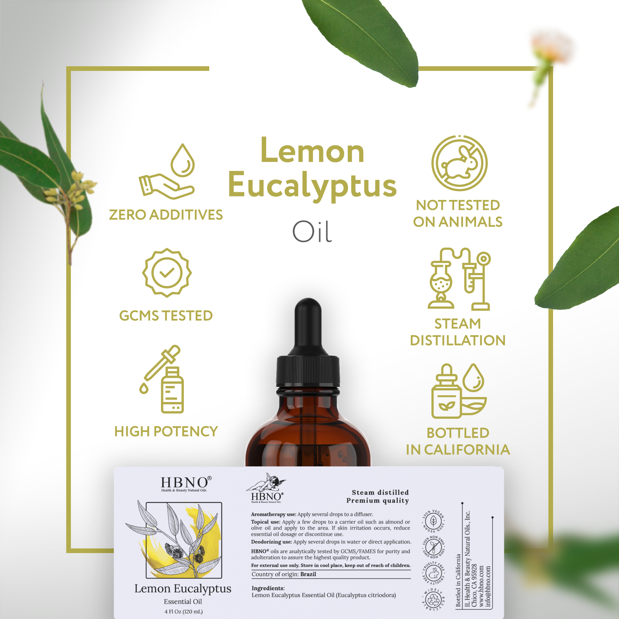 Eucalyptus Lemon