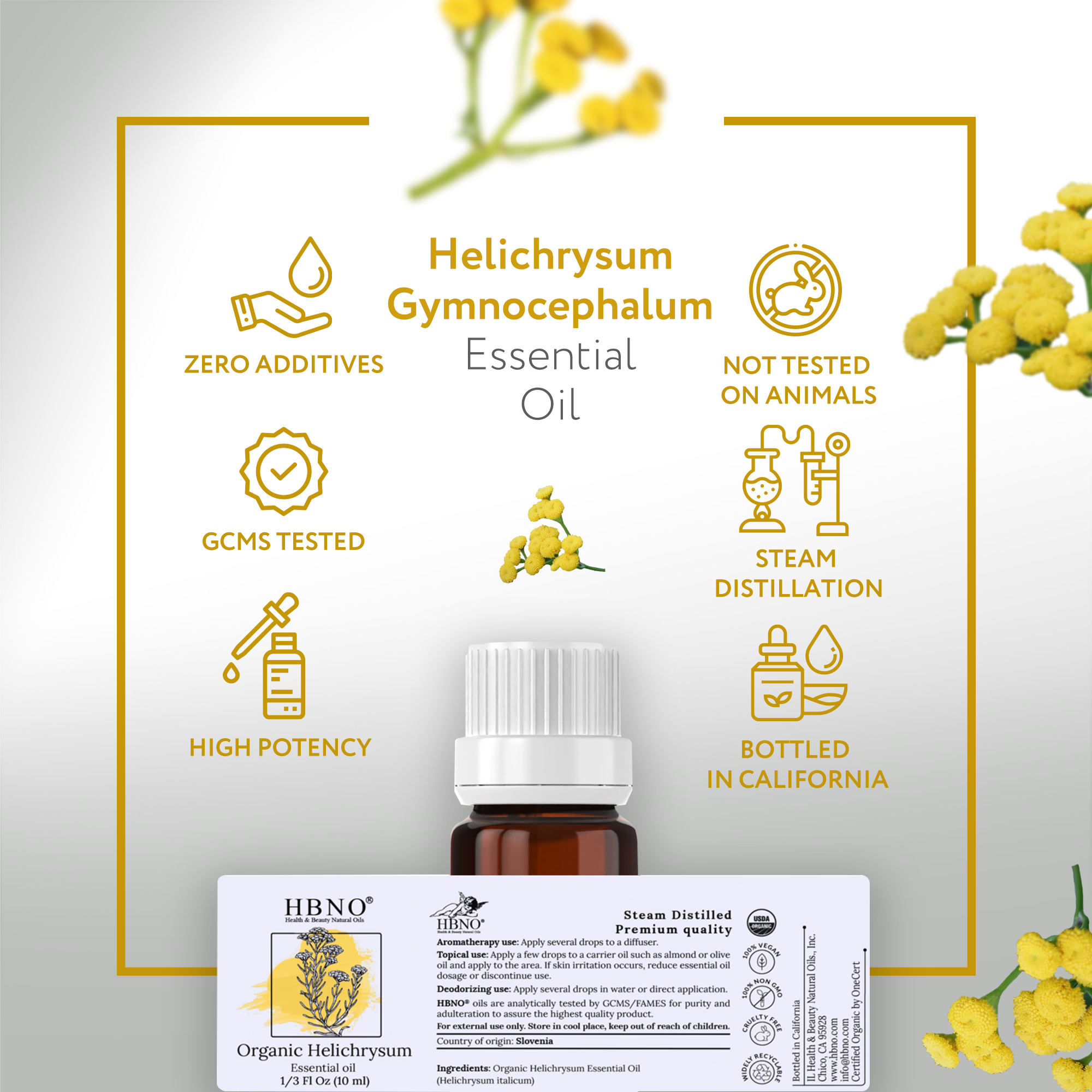 Helichrysum Italicum Oil ORGANIC