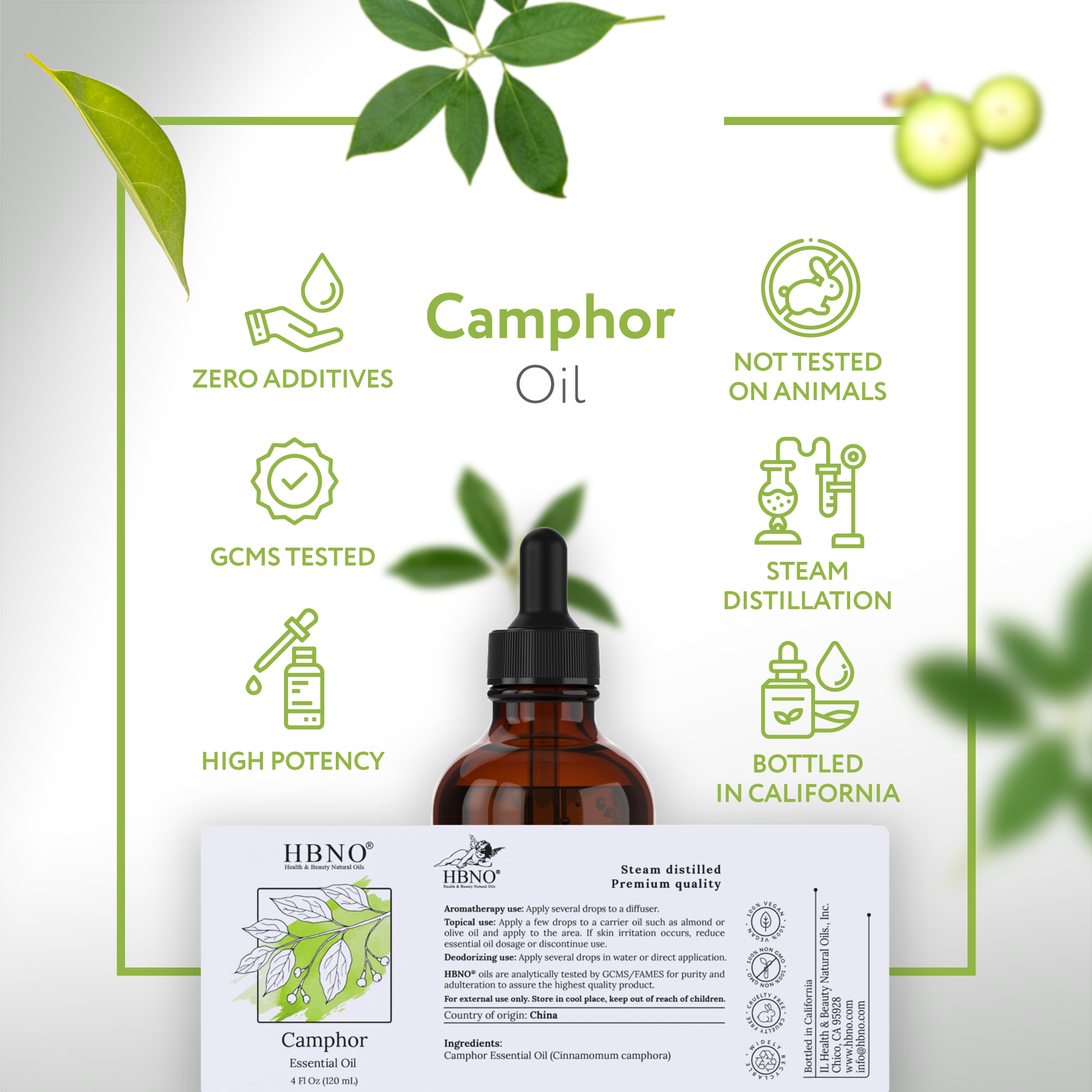 Camphor Oil