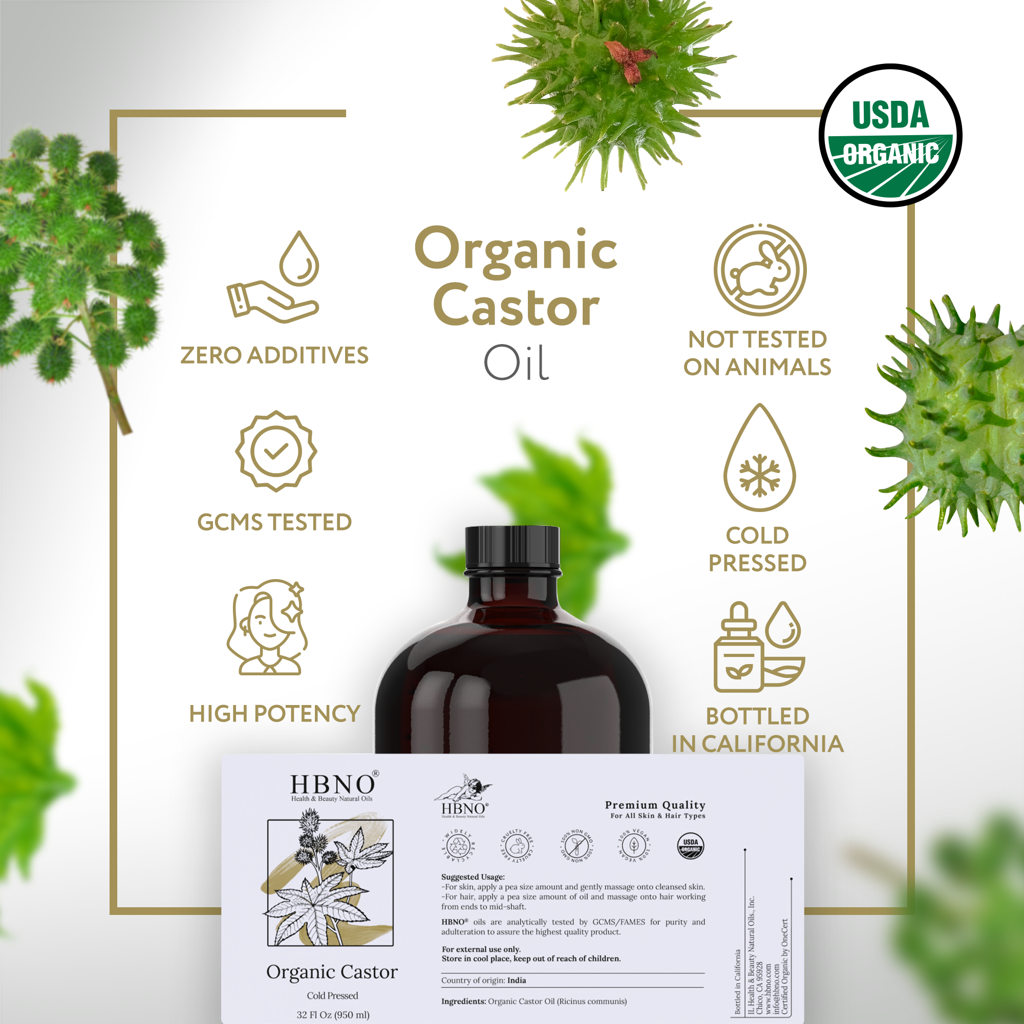 Castor Oil ORGANIC