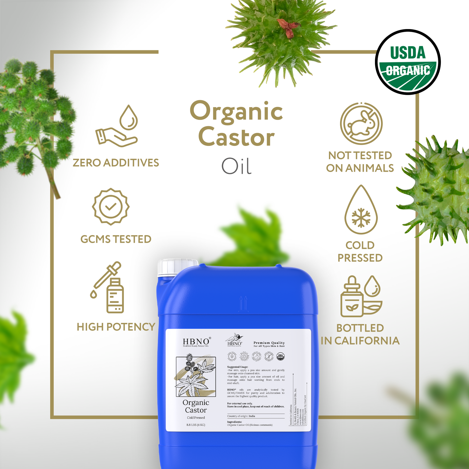 Castor Carrier Oil Organic