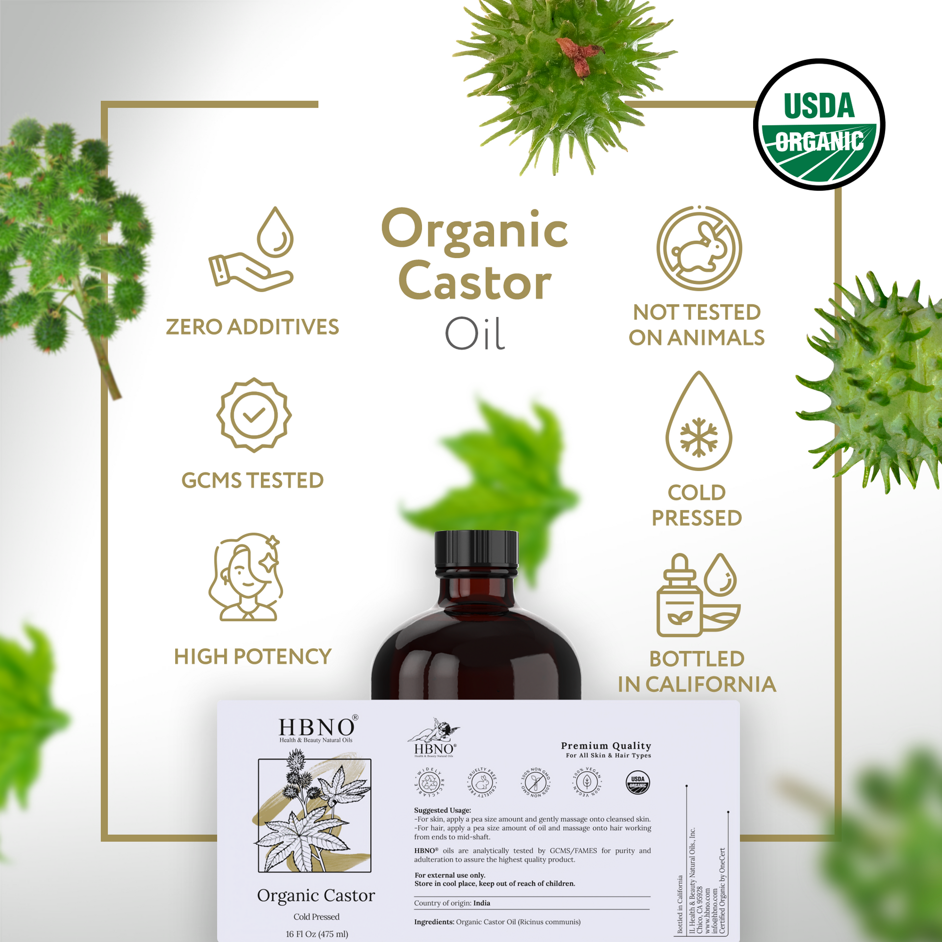 Castor Oil ORGANIC