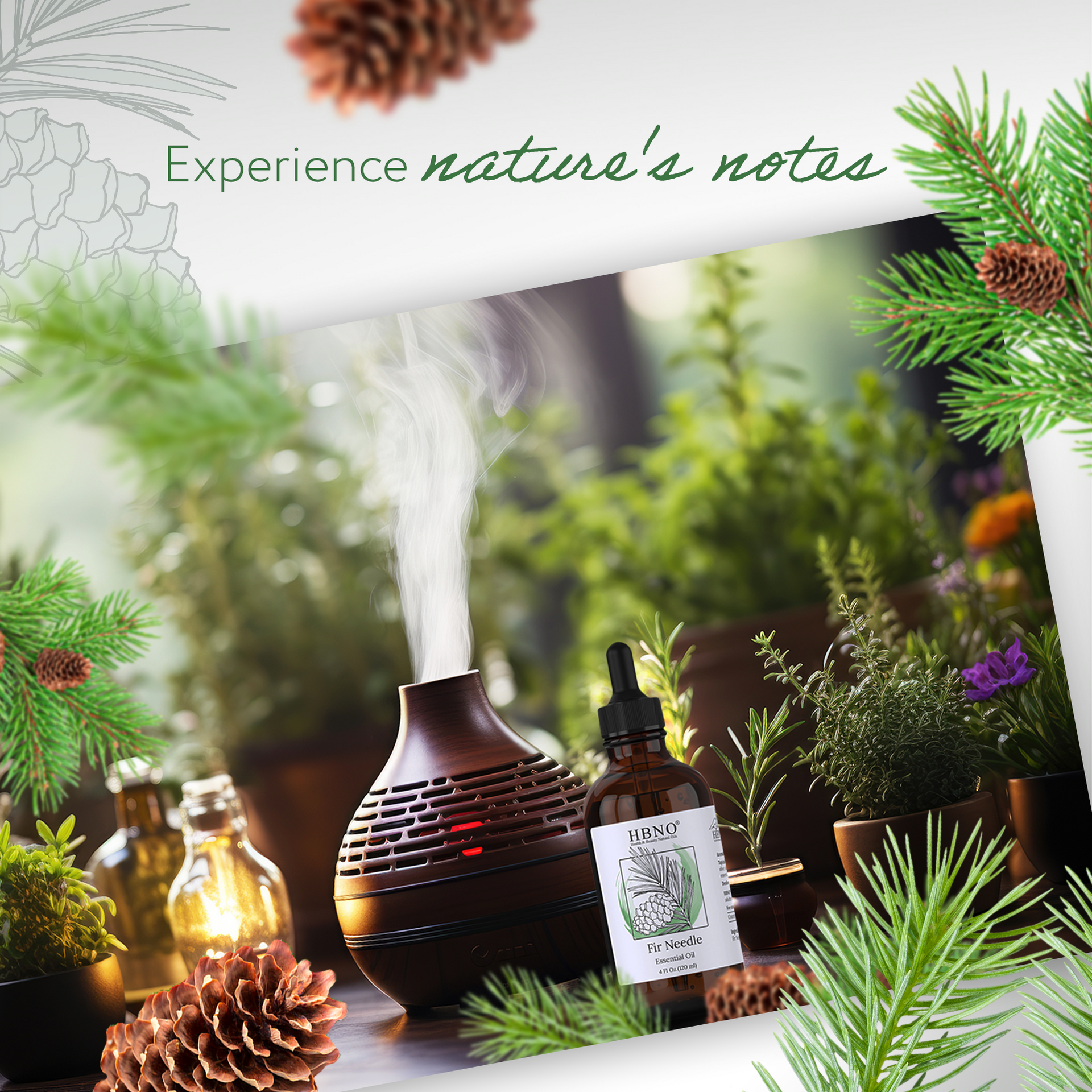 Fir Balsam Essential Oil Organic