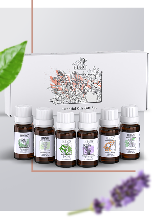 Essential Oil Gift Set