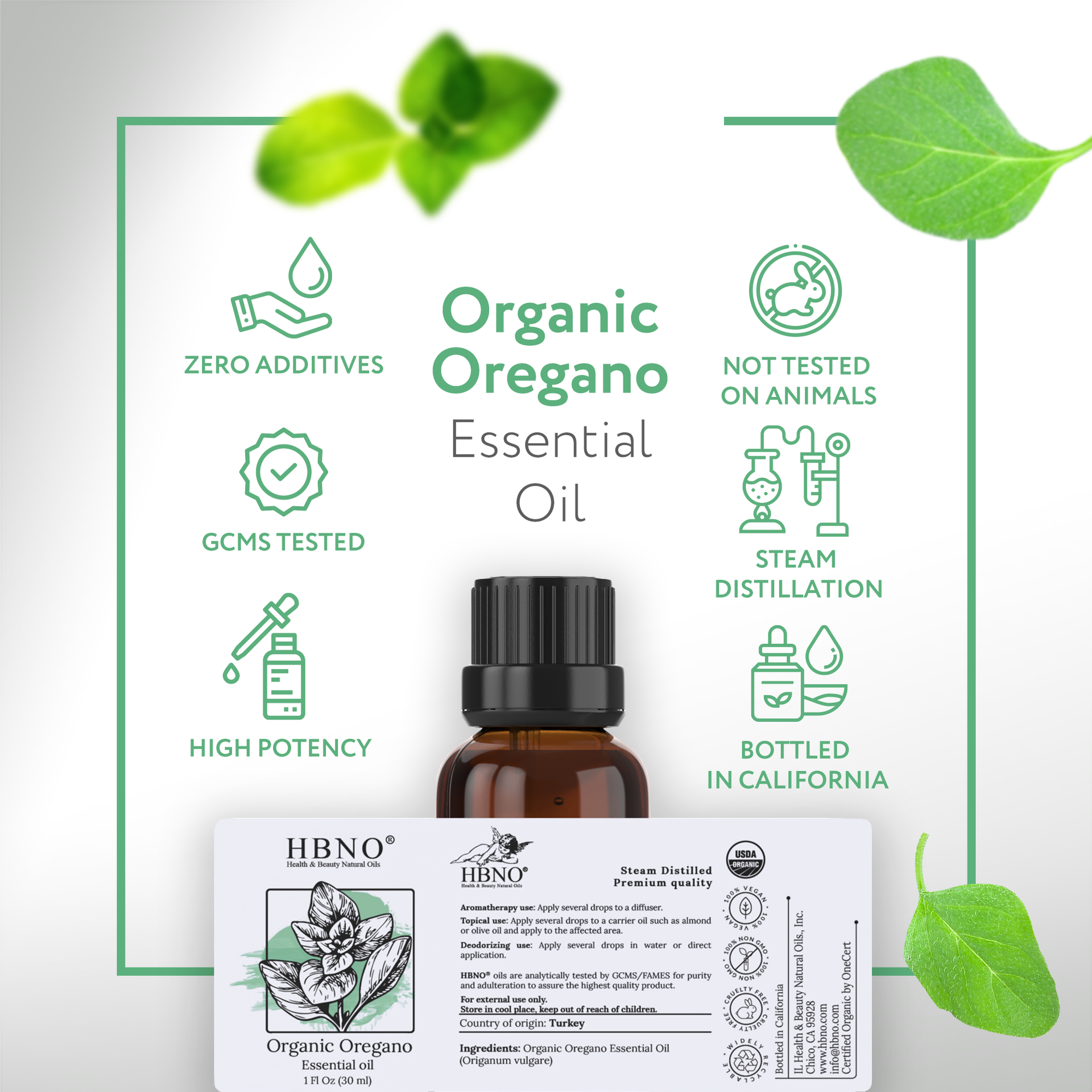 Oregano Essential Oil, Organic