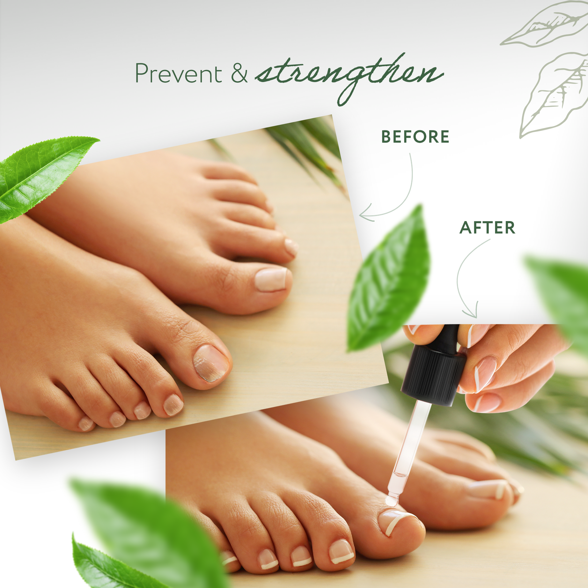 Tea Tree Essential Oil Organic