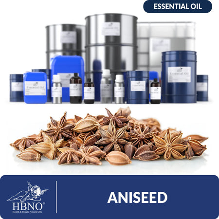 Aniseed Essential Oil